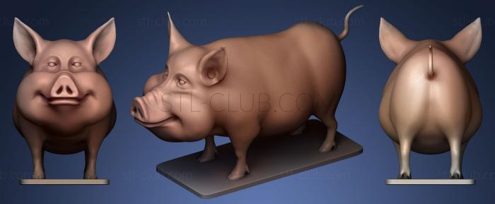 cute Pig 7